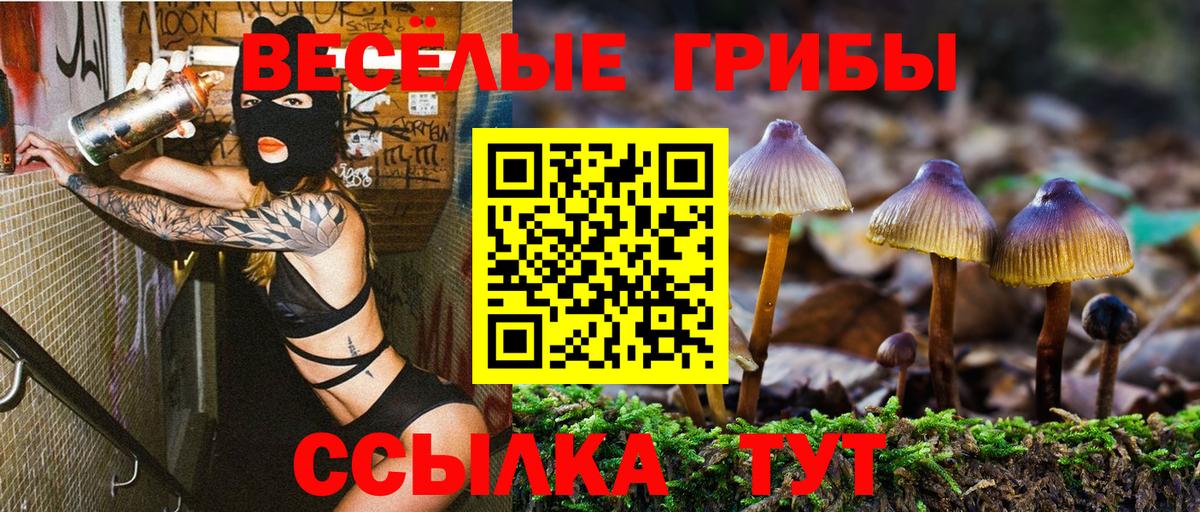 Галлюциногенные грибы мицелий Ростов Великий